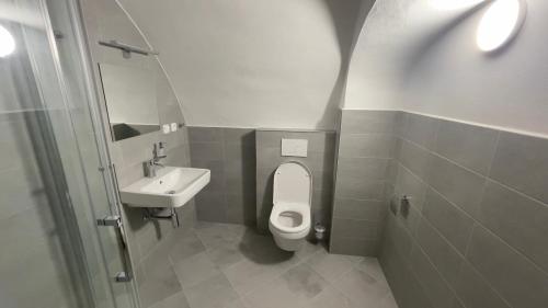 a bathroom with a toilet and a sink at Pension Pod Radnicí in Český Krumlov