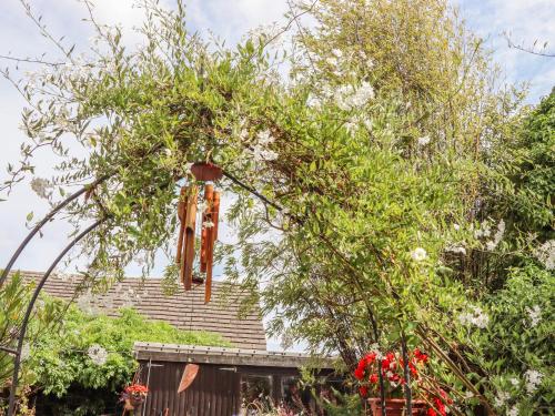 a pair of shoes hanging from a tree at Little London in Battle