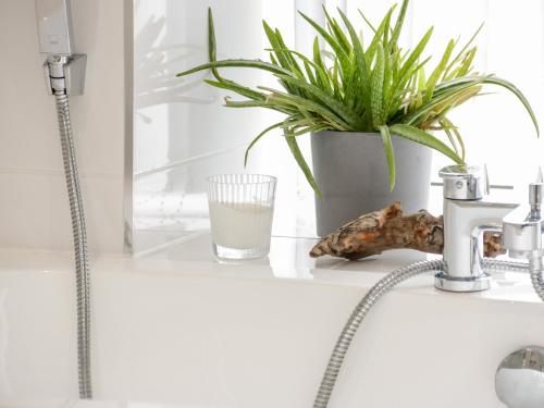 a bathroom sink with a faucet and a plant at 4 Gerlan Road in Bangor
