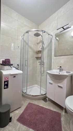 a bathroom with a shower and a sink and a toilet at APARTMA LAVANDA - Apartment Lavanda in Pobegi
