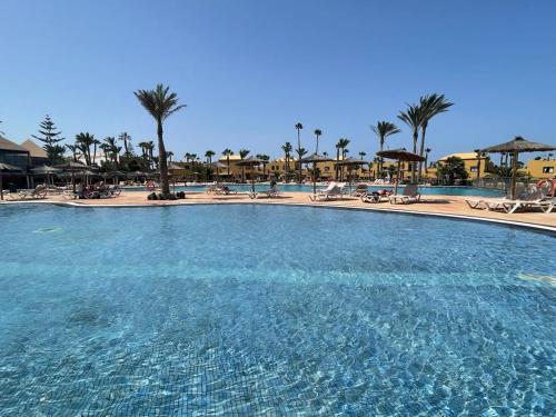 duży basen w ośrodku z palmami w obiekcie Casa Julia - OASIS PAPAGAYO w Corralejo
