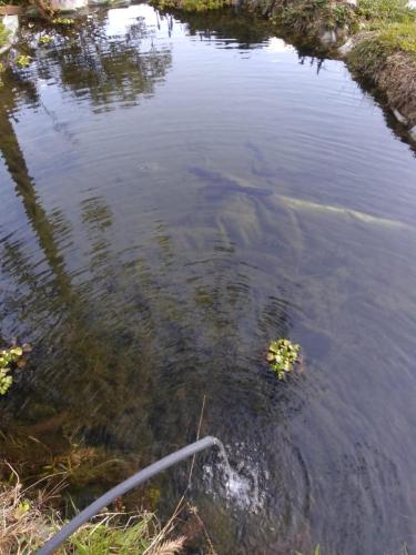 Permandangan sungai dekat dengan rumah percutian