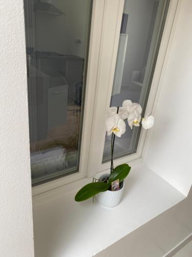 a white flower in a vase on a window sill at Maison calme et confortable 