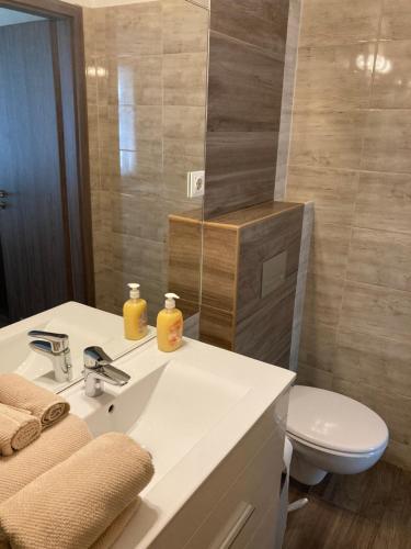 een badkamer met een wastafel, een toilet en een spiegel bij Fig Tree House in Boedapest