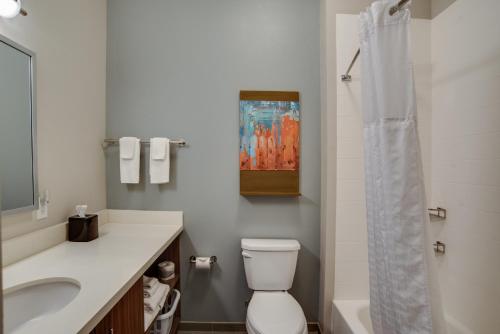 Bilik mandi di MainStay Suites Carlisle - Harrisburg