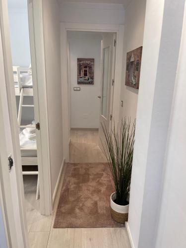 a hallway with a potted plant in a room at La Cala Holiday Retreat in La Cala de Mijas