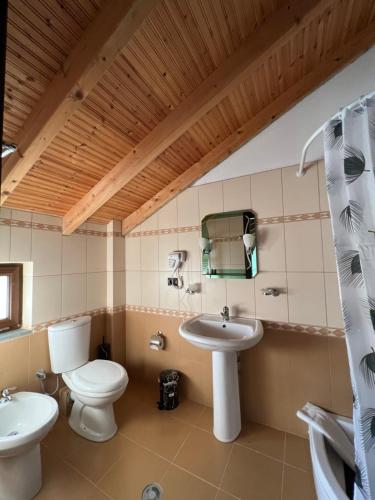 a bathroom with a toilet and a sink at Vila Mata in Voskopojë