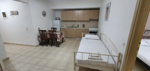 Kuchyň nebo kuchyňský kout v ubytování Dimitra city apartment