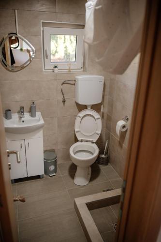 a bathroom with a toilet and a sink and a window at Apartmani Ružina staza in Rudnik Kačerski