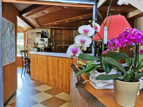 a vase of flowers on a counter in a kitchen at Hôtel Au Feu De Bois in Autrans