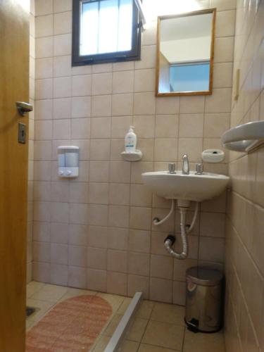 uma casa de banho com um lavatório e um espelho em Alem Mendoza em Mendoza