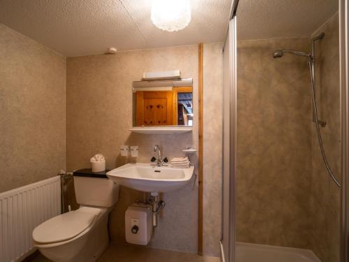 a bathroom with a sink and a toilet and a shower at Ferienhaus Rinderer in Sonntag