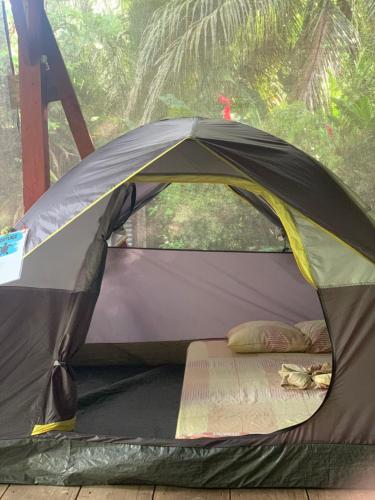 Foto dalla galleria di hostal Camping la ygriega a Bocas del Toro