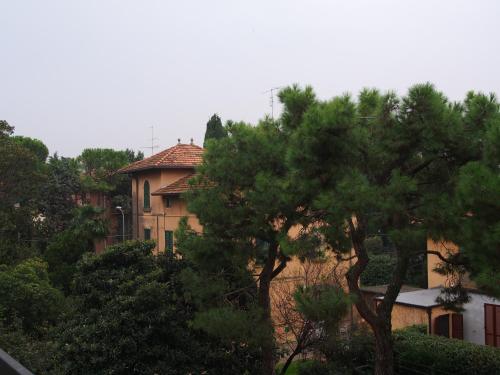 a house in the background with a tree in the foreground at Provenzale in Desenzano del Garda