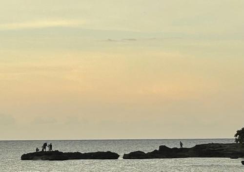 a group of people standing on rocks in the ocean at Seashore Vacation Home, Oceanpointe, Lucea, Jamaica in Point