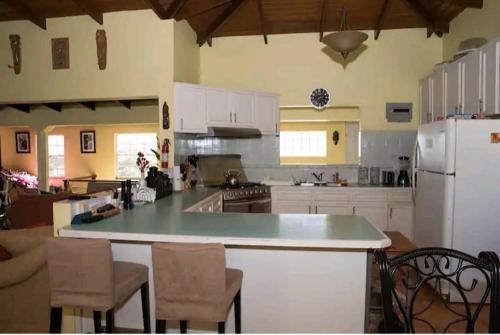 una grande cucina con bancone e frigorifero di Altare - Breezy with a View a Grand Anse