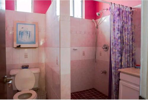 a pink bathroom with a toilet and a shower at Altare - Breezy with a View in Grand Anse