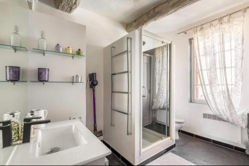 a white bathroom with a sink and a toilet at Douceur sur la Sorgue in LʼIsle-sur-la-Sorgue
