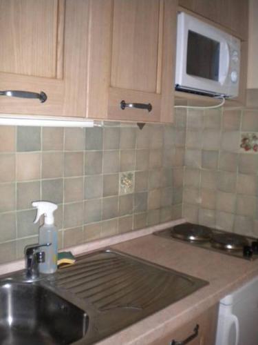 un comptoir de cuisine avec un évier et un micro-ondes dans l'établissement Mercier, à Lanslevillard