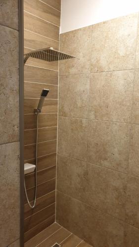 a shower in a bathroom with a glass door at Casa Arion in Băile Herculane