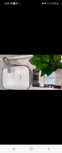 a bathroom with a toilet and a green plant at Hotel The Quin in Hai Phong