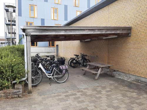 Cykling ved Kolding Sportel eller i nærheden