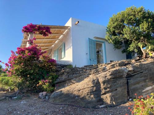 Foto dalla galleria di Casa Nica a Ustica