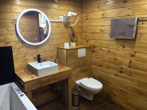 a bathroom with a sink and a toilet and a mirror at Chalet Mont Ventoux et Chalet VIP in Camaret-sur-Aigues