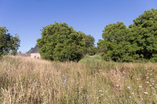 a field of tall grass with trees in the background at Maison d'hôtes le détour en pleine nature in Channay-sur-Lathan