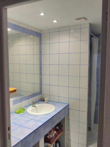 uma casa de banho com um lavatório e um espelho em Romans-sur-Isère, maison de rue en centre ancien em Romans-sur-Isère