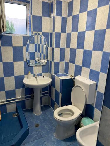 a blue and white bathroom with a toilet and a sink at Vila Pișcoțel in Schitul