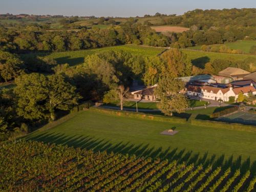 an aerial view of a estate with a vineyard and a house at Aldwick Estate in Bristol
