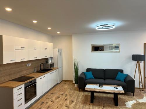 un salon avec un canapé et une cuisine dans l'établissement Apartmány U Jelena 3, à Český Krumlov