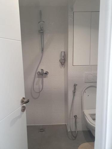 une salle de bain avec douche et toilettes dans l'établissement Charme appart près de Paris& CDG&Parc d'exposition, à Aulnay-sous-Bois