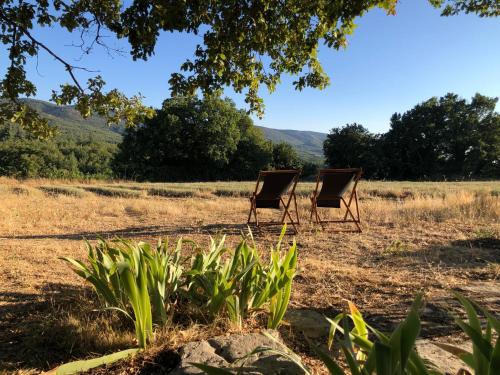 zwei Stühle auf einem Feld unter einem Baum in der Unterkunft Cabanon du berger in Saignon