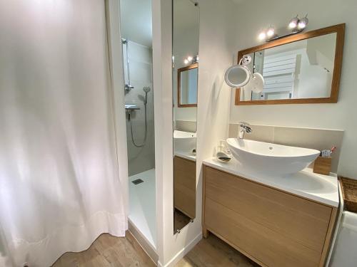 a bathroom with a sink and a mirror and a shower at L'Ecrin des bords de l'Erdre - Les Maisons de Madeleine in Nantes
