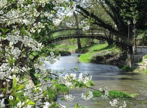 een brug over een rivier met witte bloemen bij Gîte du Domaine de la Forge in Boncourt-sur-Meuse