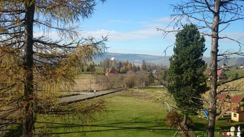 vistas a un parque con un árbol en el primer plano en Pokoje Gościnne U Małgorzaty, en Zakopane