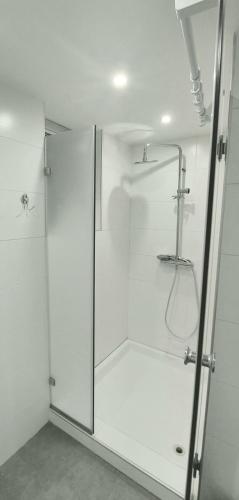 a shower with a glass door in a bathroom at Apartman Dona in Banja Luka