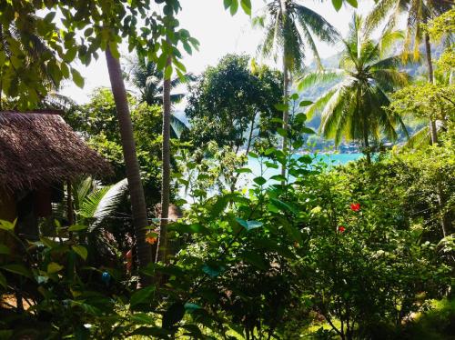 Ein Garten an der Unterkunft Bambu Huts