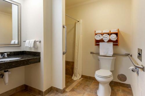 Bilik mandi di Best Western Davison Inn