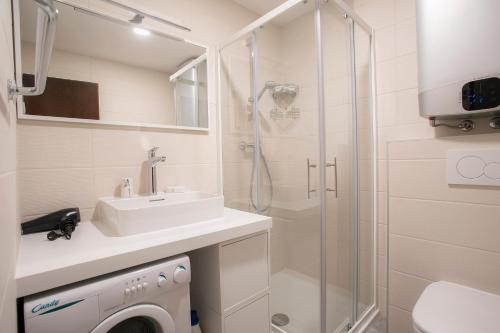 Koupelna v ubytování Apartment Vera Kranjska Gora