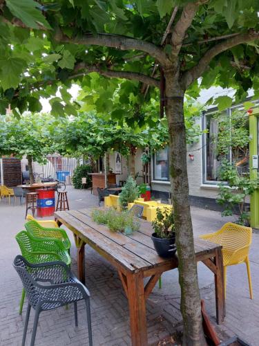 Сад в Simplon Hostel