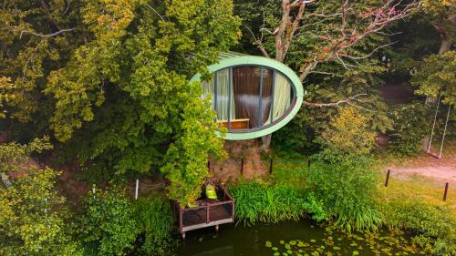 a house on a tree with a mirror on it at AKIS namelis medyje- Dinosaur Park in Radailiai