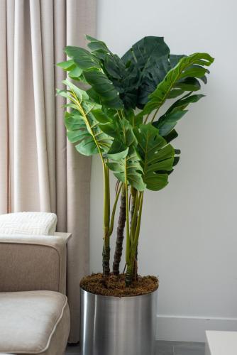 a plant in a metal pot in a living room at STUDIO apartment near Seven Mile Beach at The Grove in Upper Land