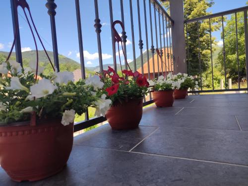 a row of potted plants sitting on a porch at Cozy Home Kolasin in Kolašin