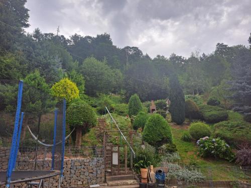 Noclegi Srebrna Góra في سريارنه غورا: حديقة بها شجيرات وأشجار على تلة