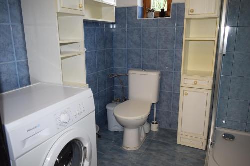 a bathroom with a toilet and a washing machine at Chata Janov in Janov