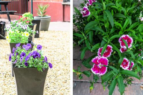 two pictures of flowers in a flower pot at Sefton Park Hotel in Liverpool