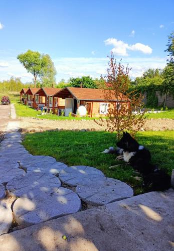 Agroturystyka Jeleń